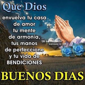 Meet your Posher, Eva